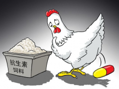 食品抗生素層出不窮，如何檢測(cè)？